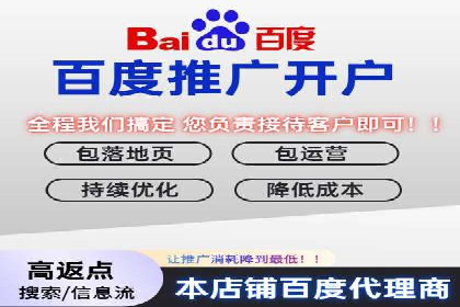 百度竞价SEM成功案例：揭秘广告投放秘诀