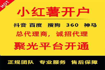 SEM推广实战：成功案例剖析